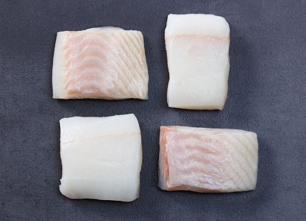 Fresh white halibut filet