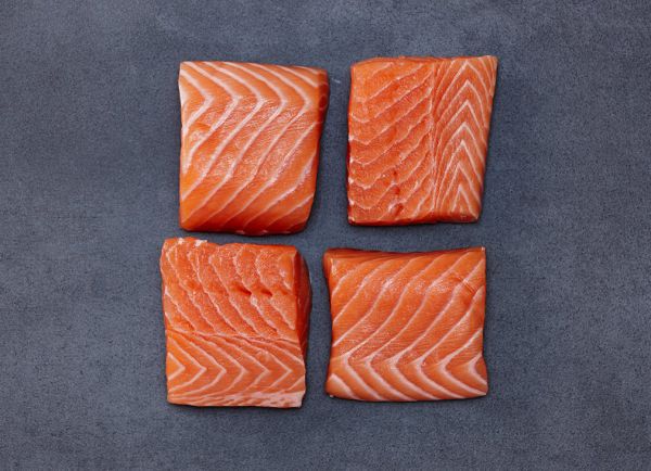Fresh salmon filet