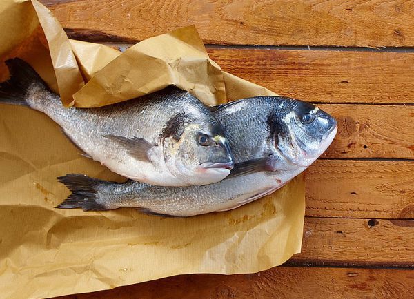 Gilt-head bream